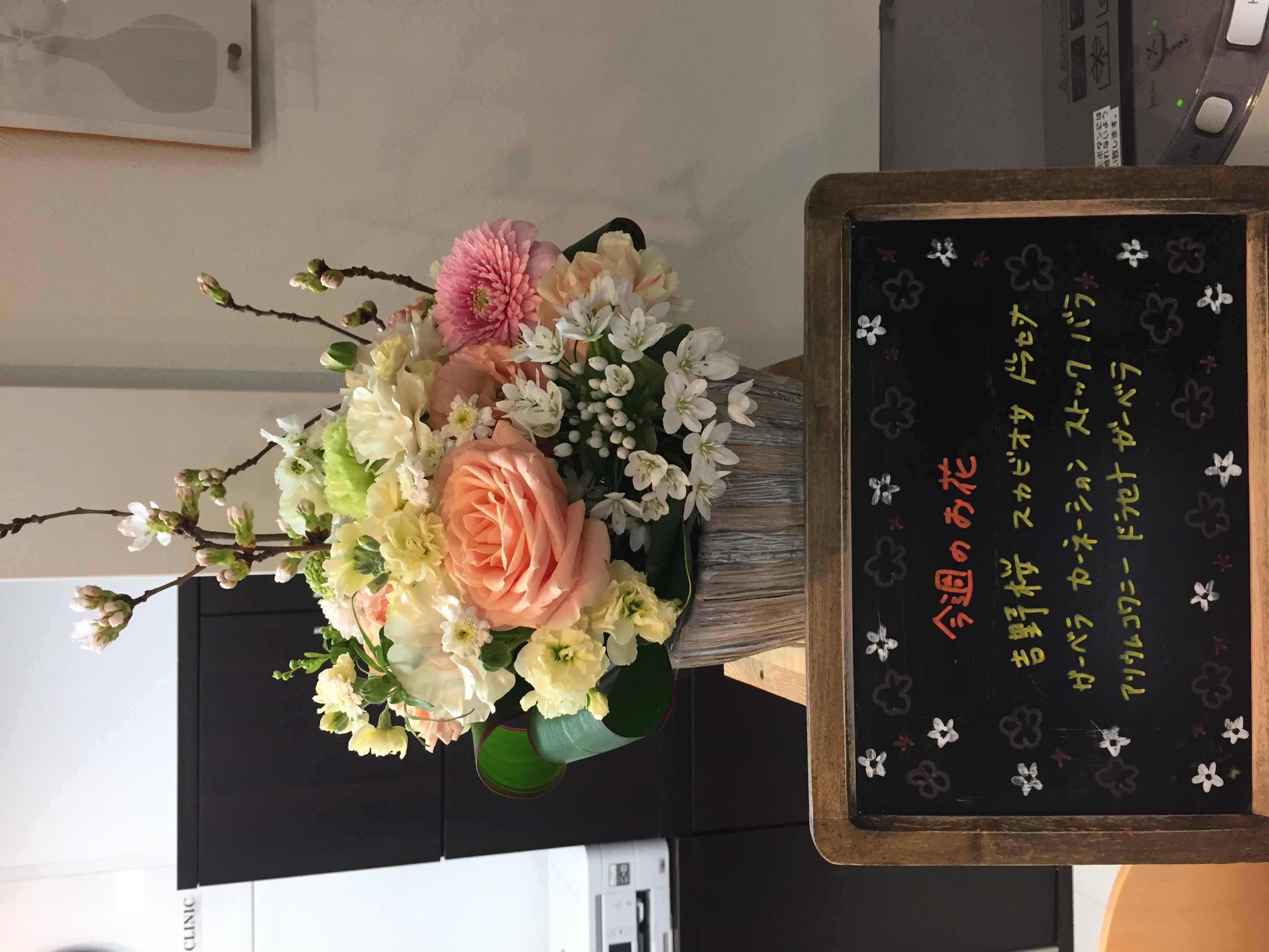 今週(3月23日〜)のお花