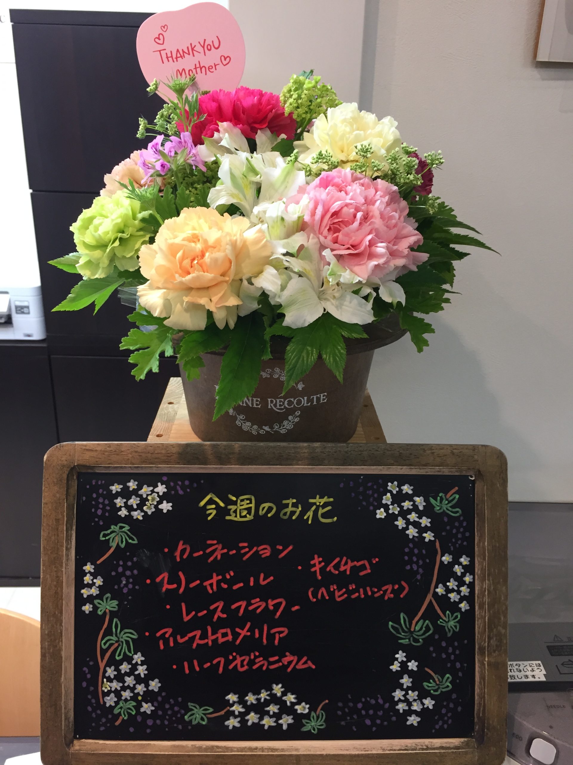 今週(5月7日〜)のお花