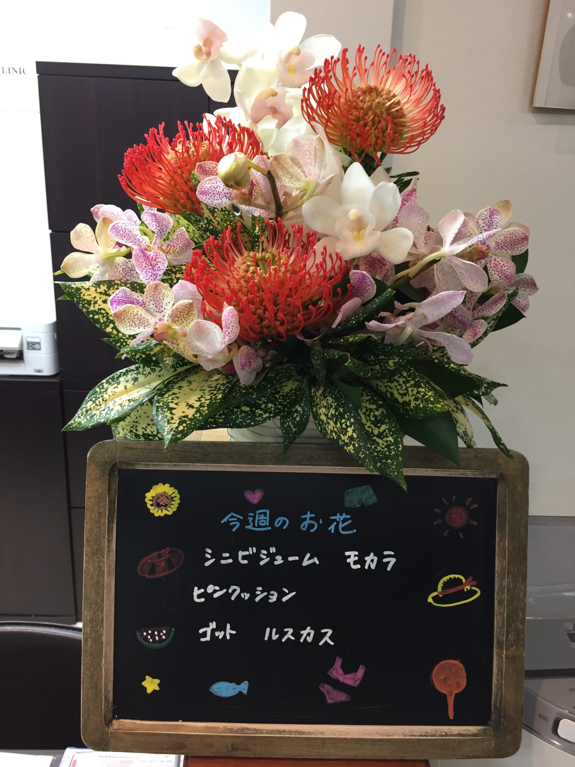 今週(8月17日〜)のお花