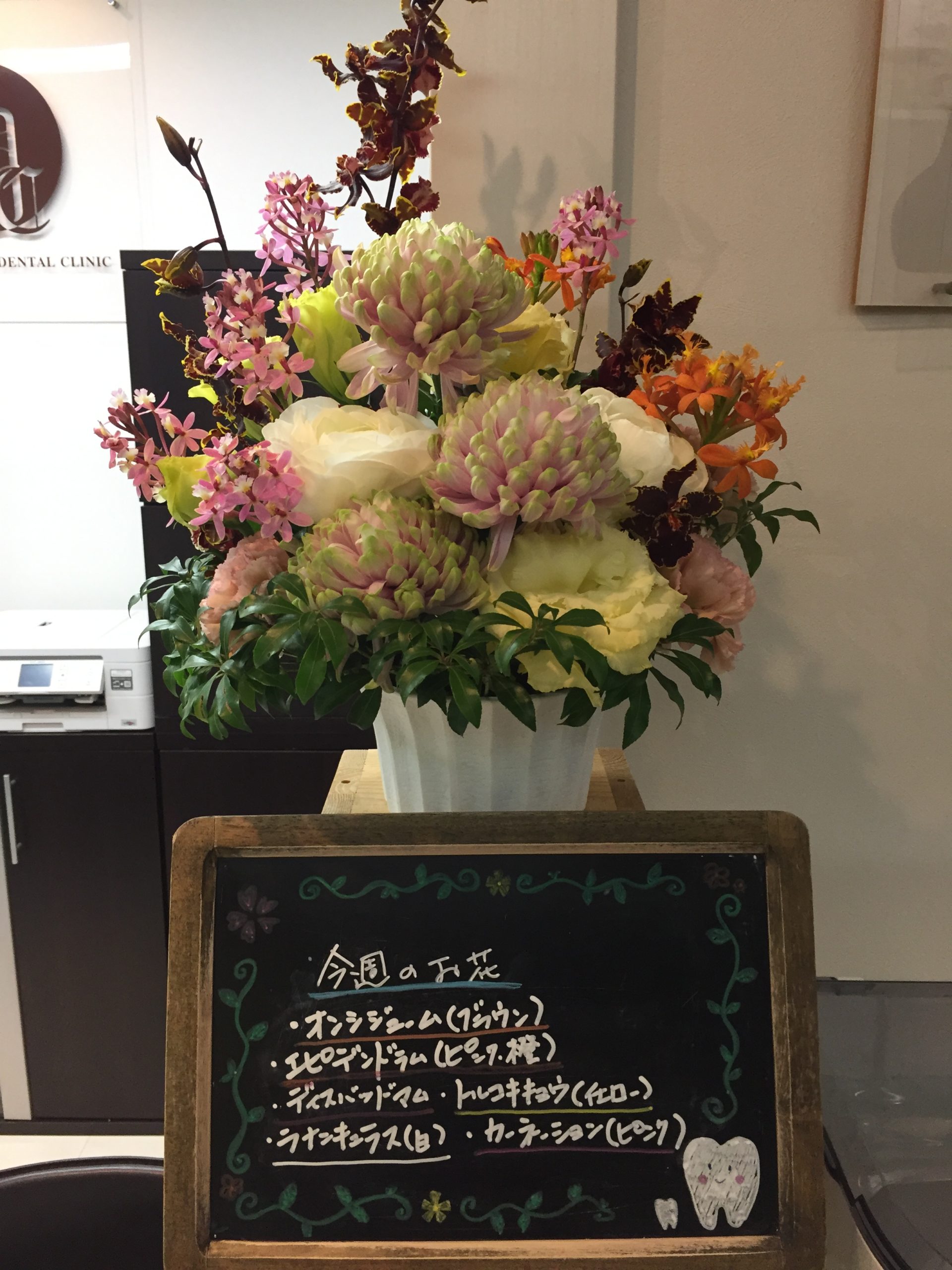 今週(2月22日〜)のお花