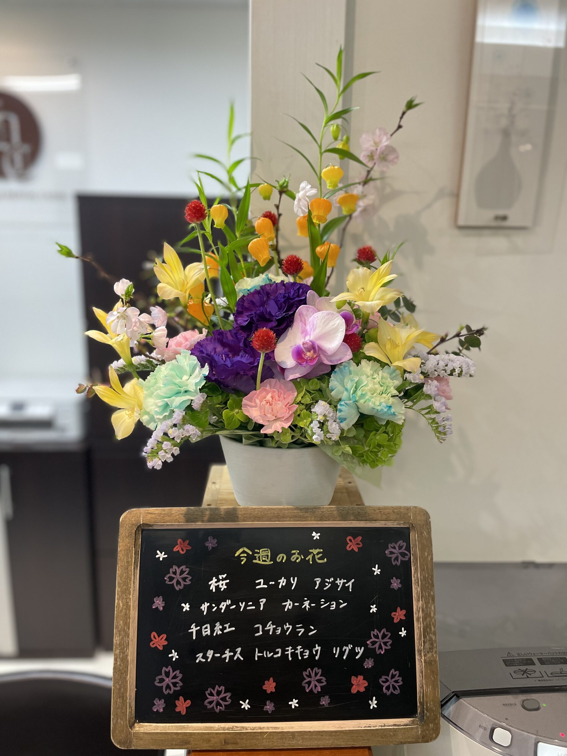 今週(4月1日〜)のお花