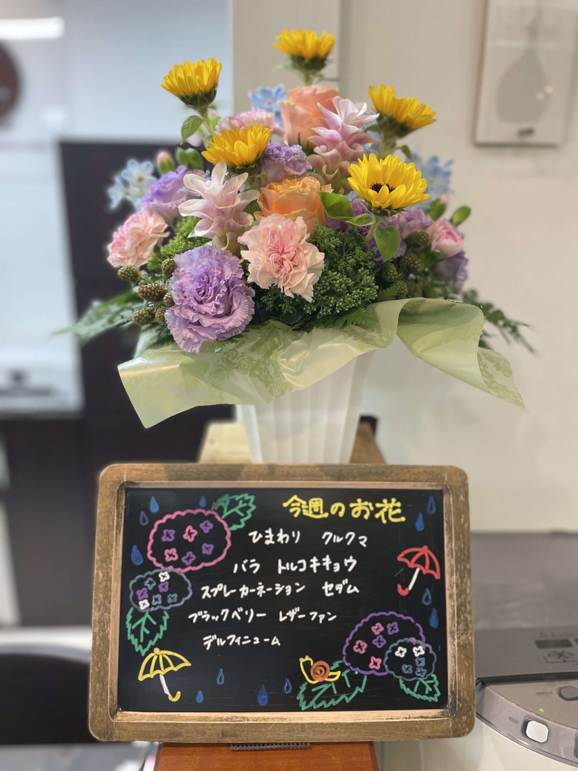今週(6月9日〜)のお話