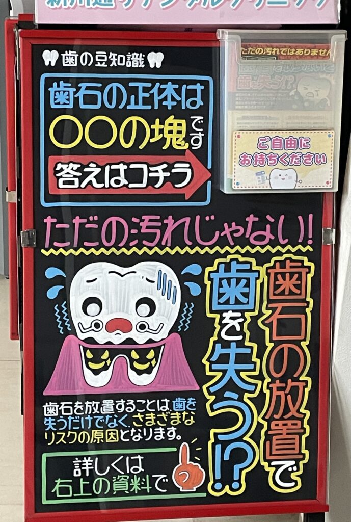 歯の豆知識🦷