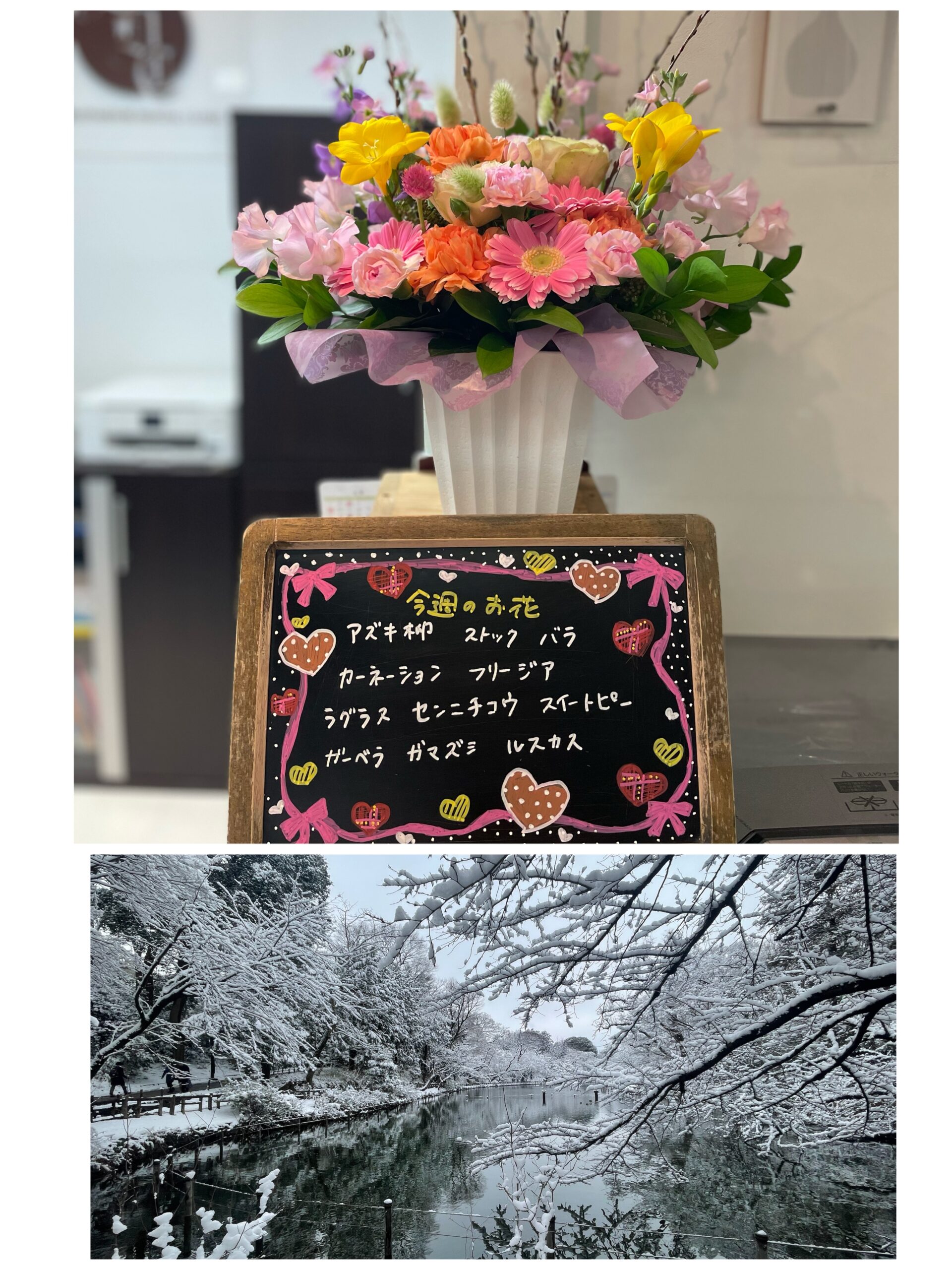 今週(2月9日〜)のお花