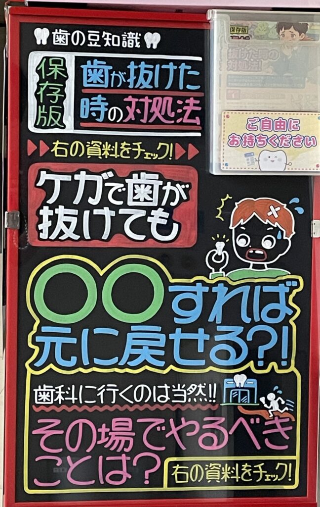 歯の豆知識🦷